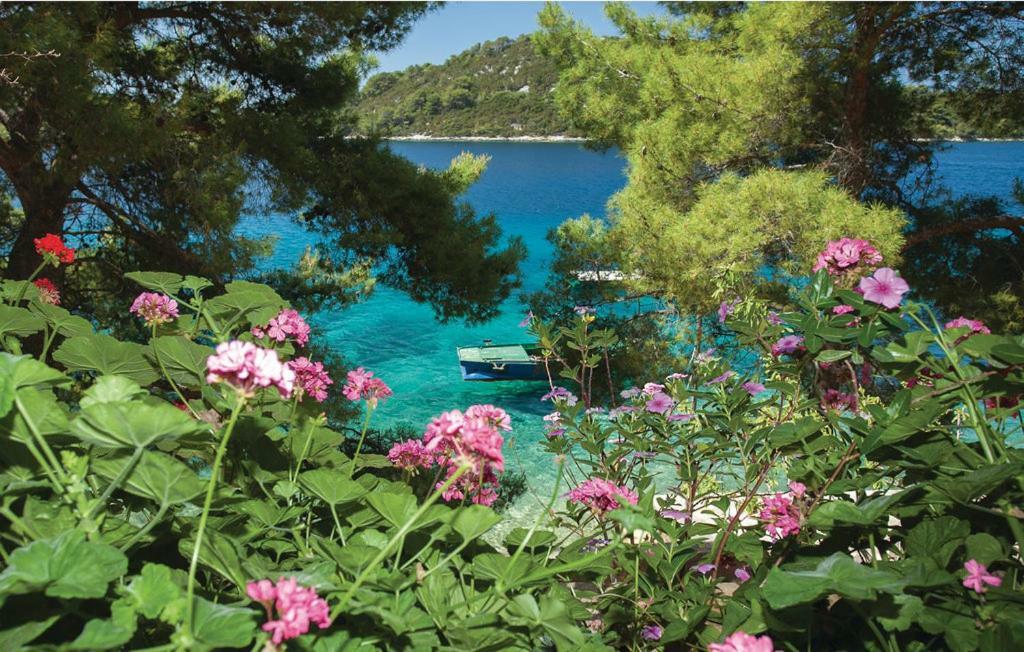 Beautiful Apartment By The Sea Prizba Luaran gambar